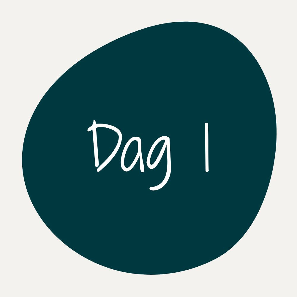 Dag 1