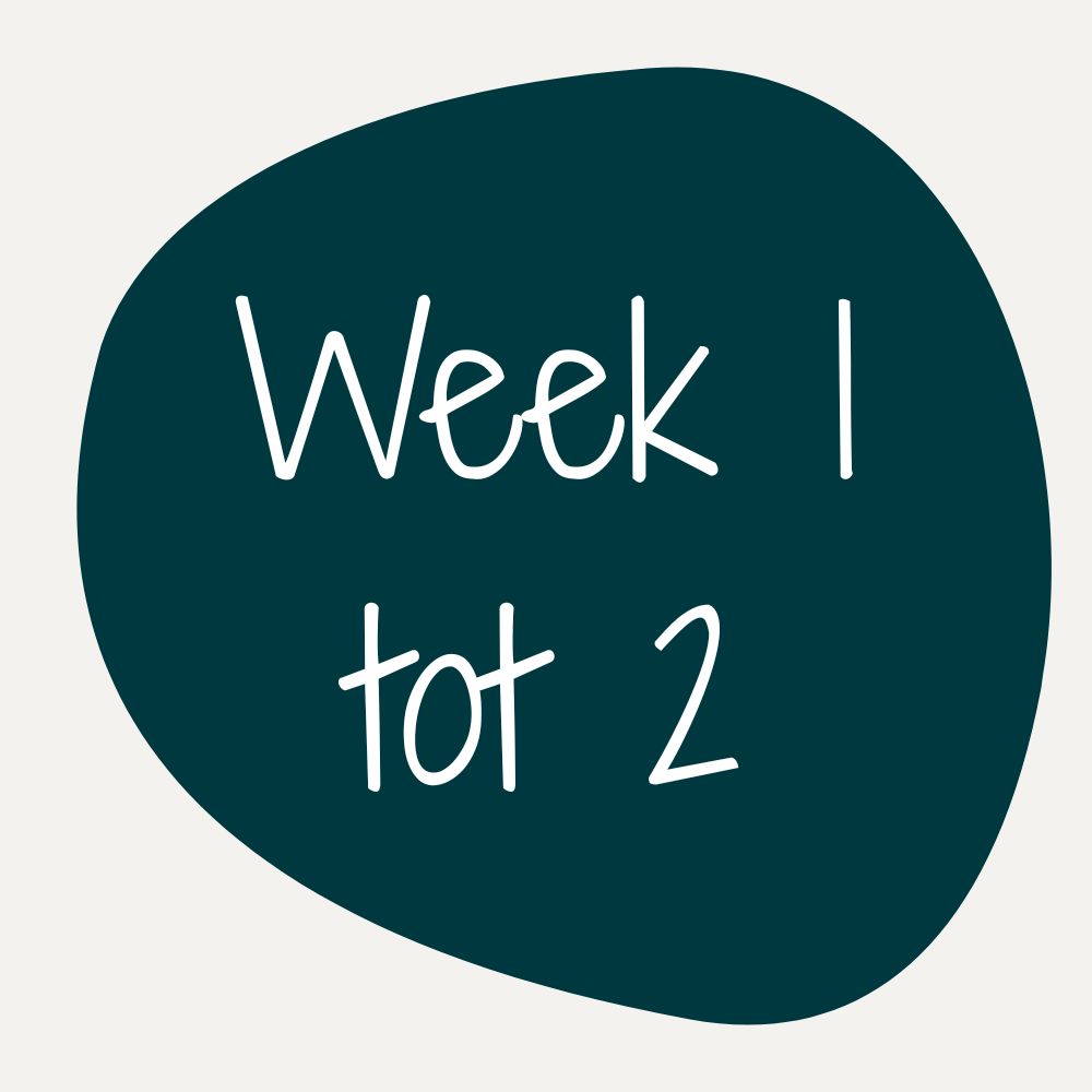 Week 1 tot 2