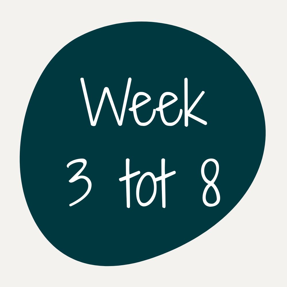 Week 3 tot 8